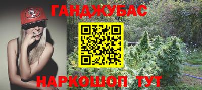мяу мяу мука Новокубанск
