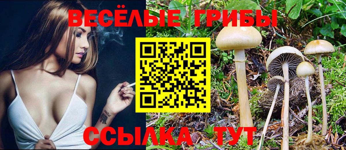 Псилоцибиновые грибы Psilocybe  Вход с VPN  Светлоград  магазин    Галлюциногенные грибы мицелий 